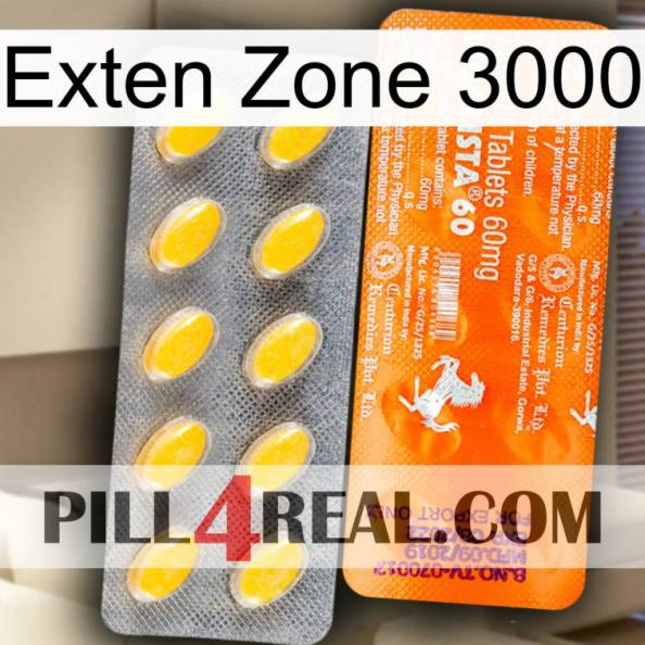 Exten Zone 3000 new05.jpg